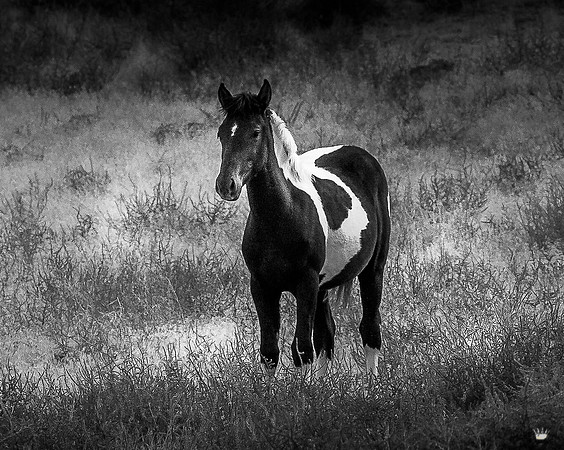 UtahPhotography-190