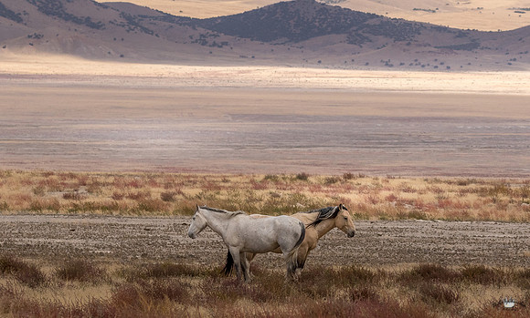 UtahPhotography-185