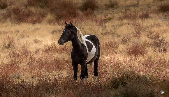 UtahPhotography-188