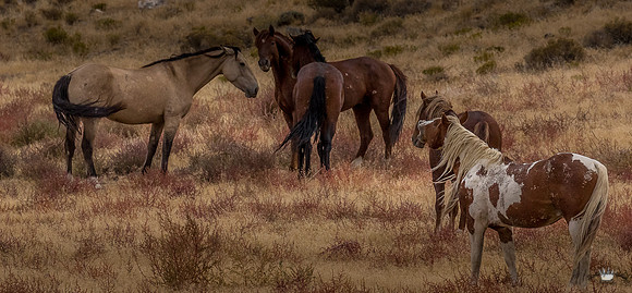 UtahPhotography-198