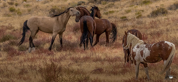 UtahPhotography-199