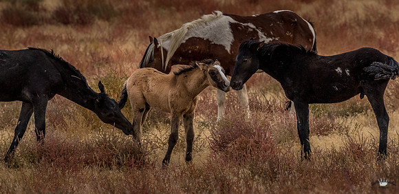 UtahPhotography-197