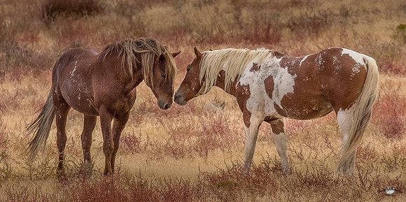 UtahPhotography-200