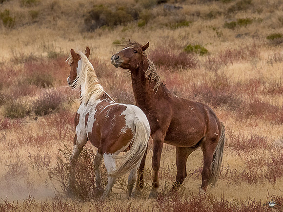 UtahPhotography-202