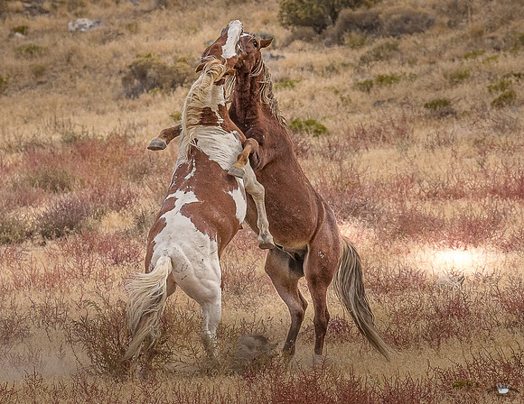 UtahPhotography-203