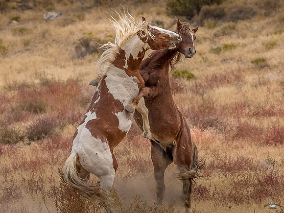 UtahPhotography-206