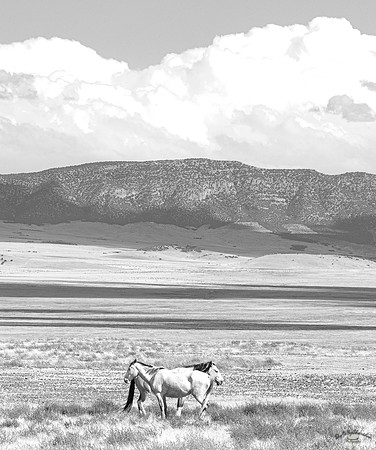 UtahPhotography-223