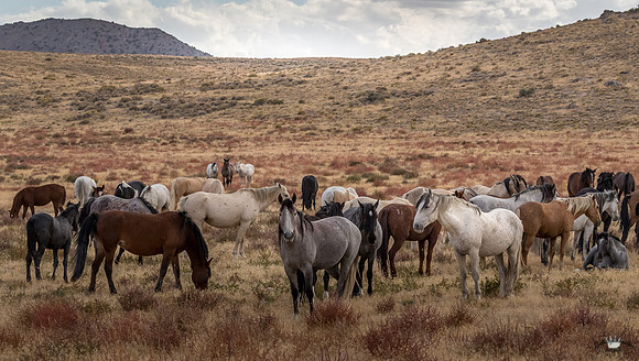 UtahPhotography-227