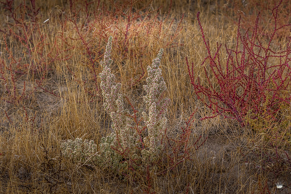 UtahPhotography-225