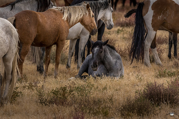UtahPhotography-228