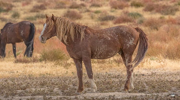 UtahPhotography-232