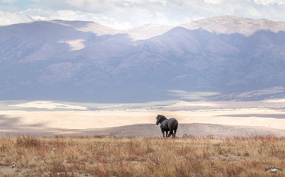 UtahPhotography-237