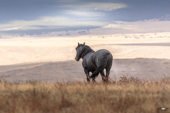 UtahPhotography-239
