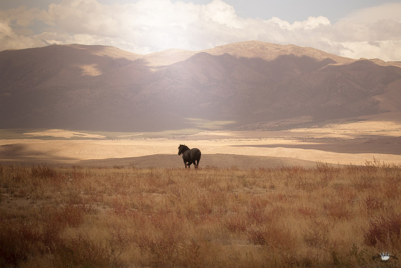 UtahPhotography-238