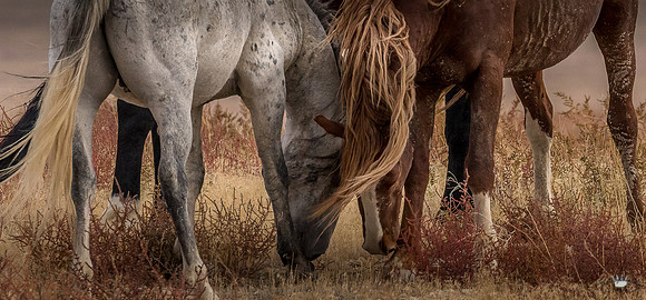 UtahPhotography-249
