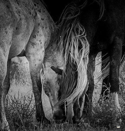 UtahPhotography-250