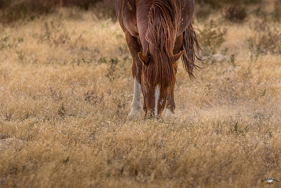 UtahPhotography-253