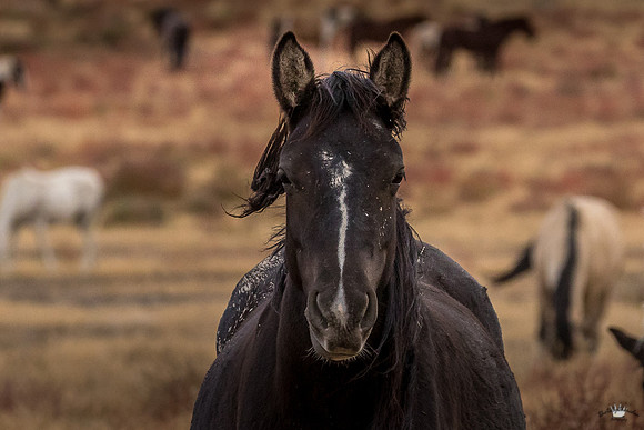 UtahPhotography-257