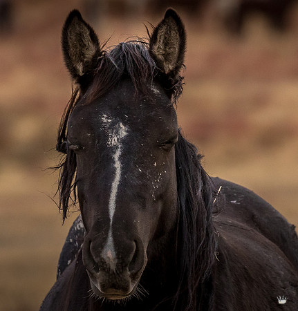 UtahPhotography-258