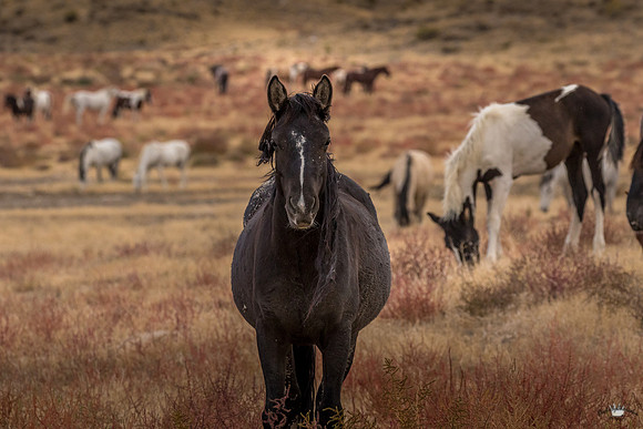 UtahPhotography-256