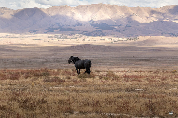 UtahPhotography-255