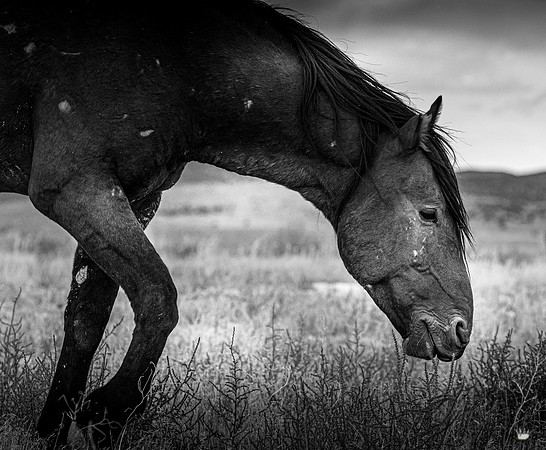 UtahPhotography-27