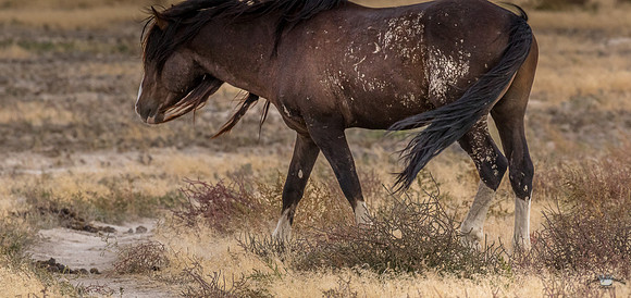 UtahPhotography-3