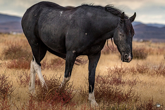 UtahPhotography-28