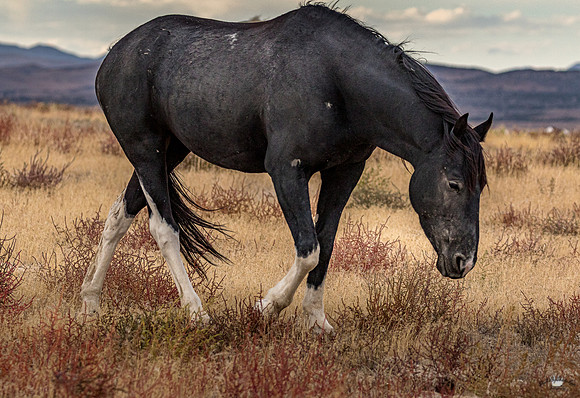 UtahPhotography-29