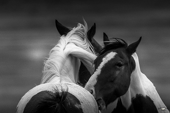 UtahPhotography-34