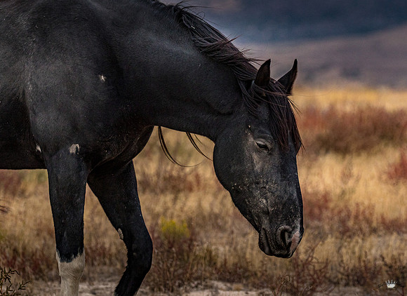 UtahPhotography-30