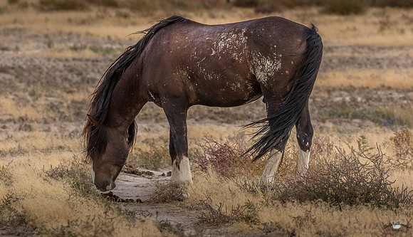 UtahPhotography-4