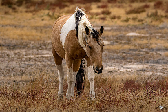 UtahPhotography-39