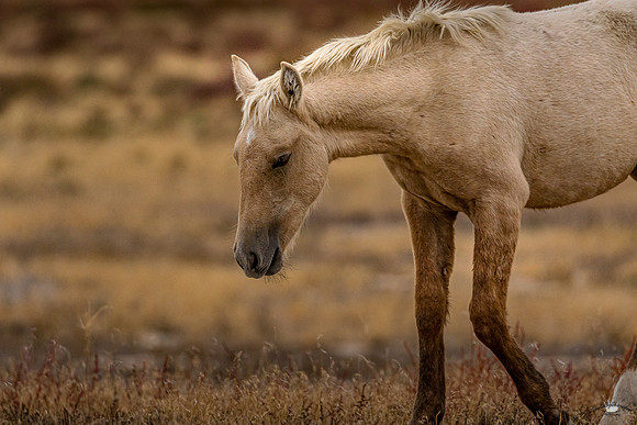 UtahPhotography-43