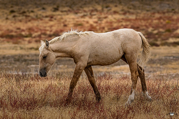 UtahPhotography-44