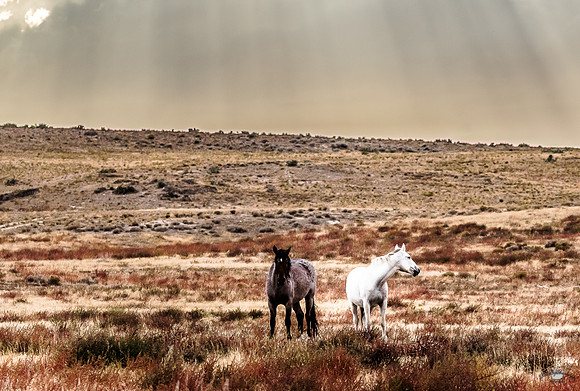 UtahPhotography-48