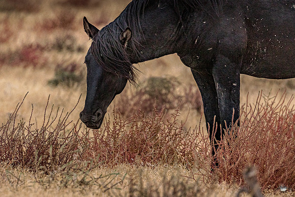UtahPhotography-50