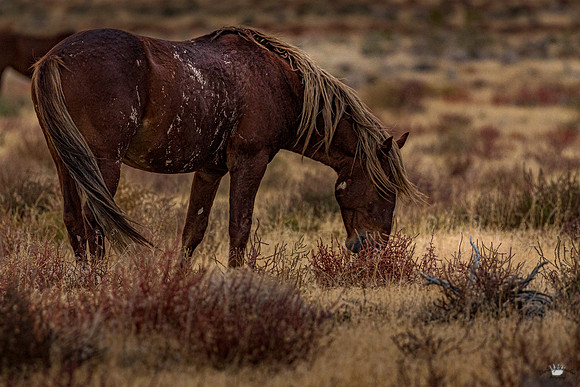 UtahPhotography-49