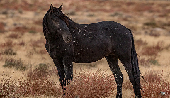 UtahPhotography-52