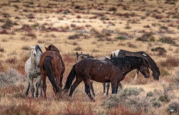UtahPhotography-54