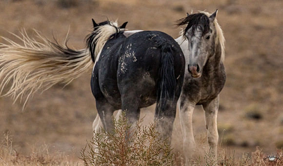 UtahPhotography-55