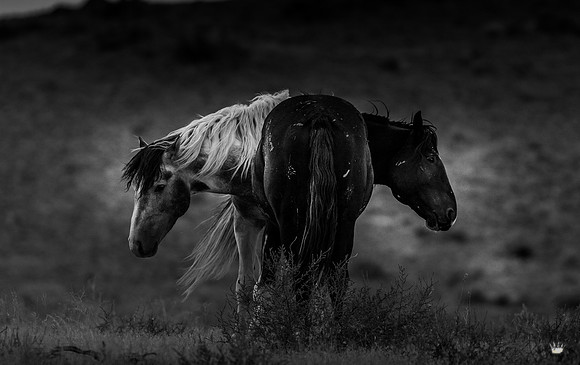 UtahPhotography-57