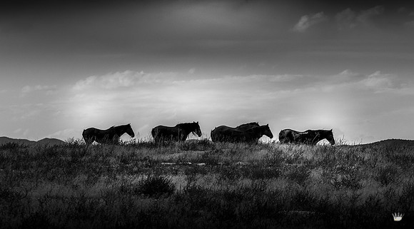 UtahPhotography-6
