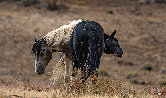 UtahPhotography-56