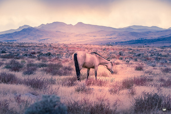 UtahPhotography-59