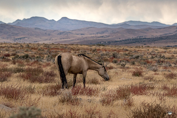 UtahPhotography-58