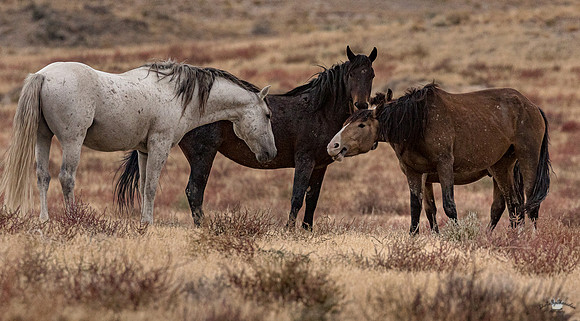 UtahPhotography-64