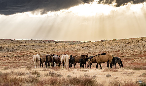 UtahPhotography-66