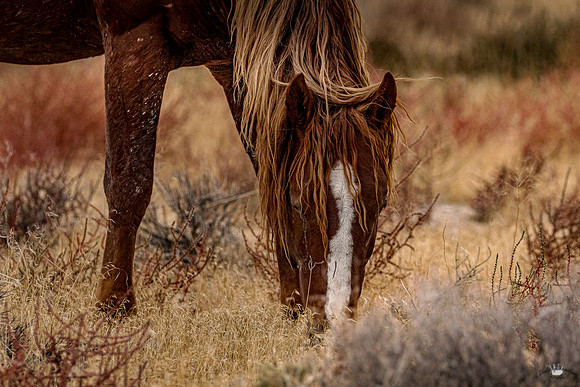 UtahPhotography-60