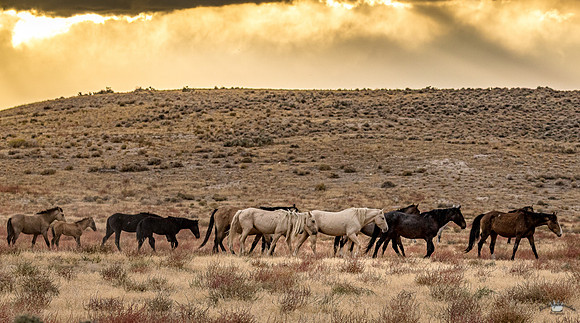 UtahPhotography-67